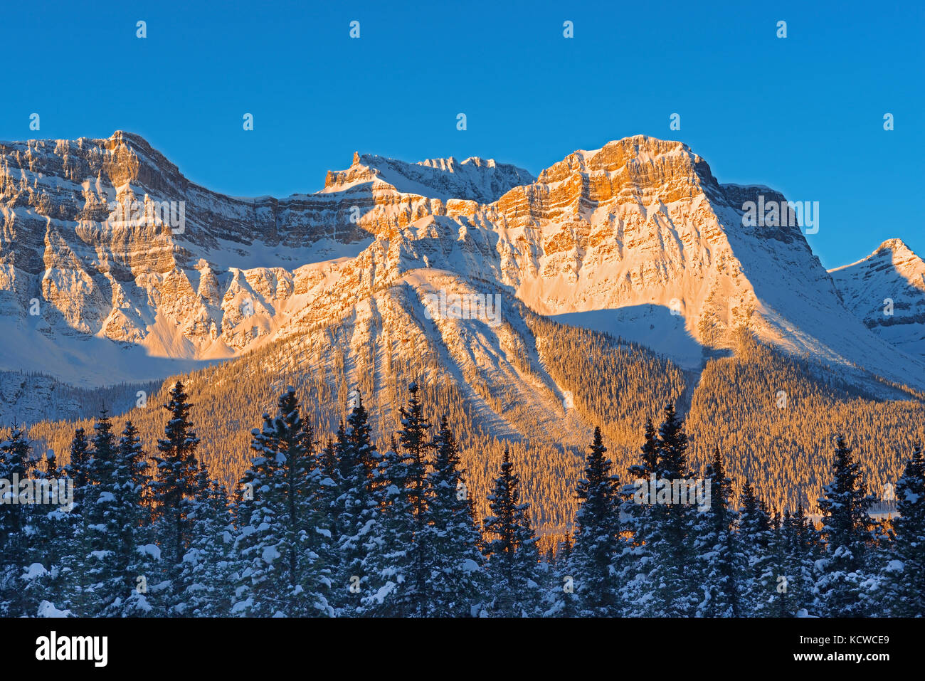 The Waputik Range in the Canadian Rocky Mountains, Banff National Park, Alberta, Canada Stock Photo