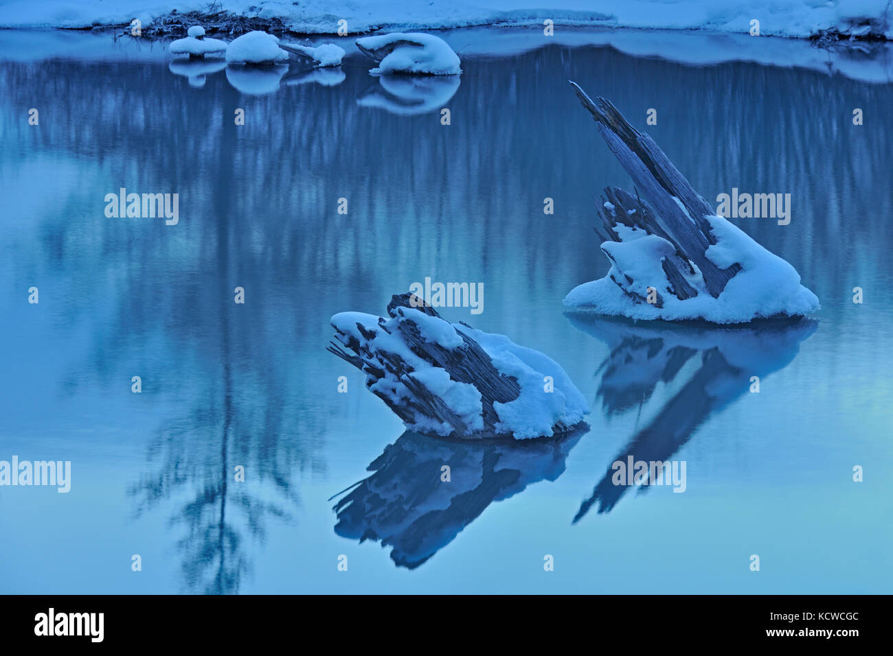 Reflection of tree stumps in pool of Vermilion Lakes, Banff National Park, Alberta, Canada Stock Photo