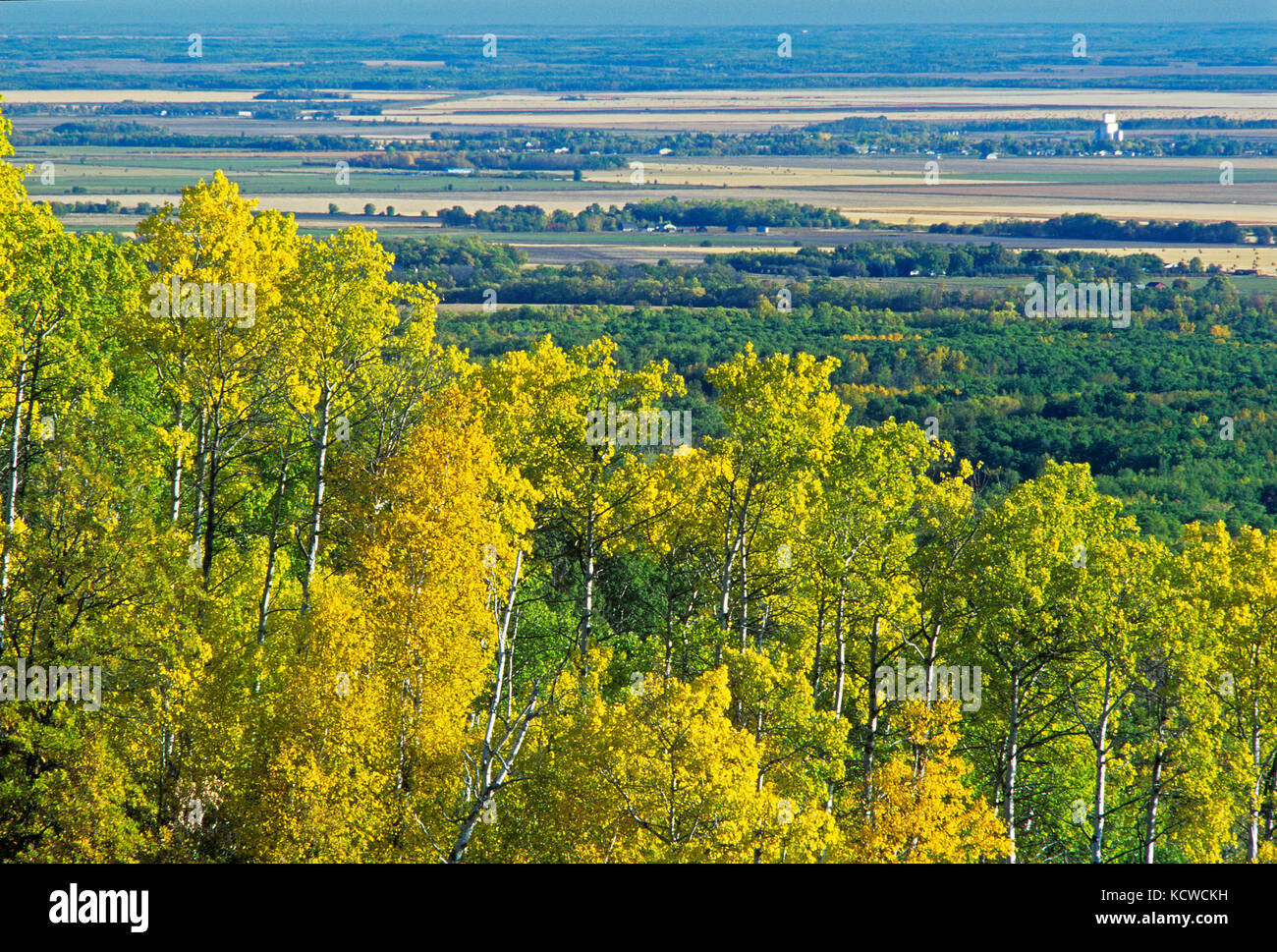 Deciduous forest in autumn overlooking farmland, Riding Mountain National Park, Manitoba, Canada Stock Photo