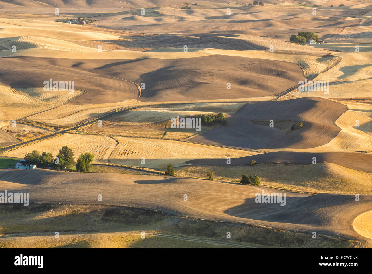 Rolling Palouse farm lands, from Steptoe Butte, Washington, USA Stock Photo