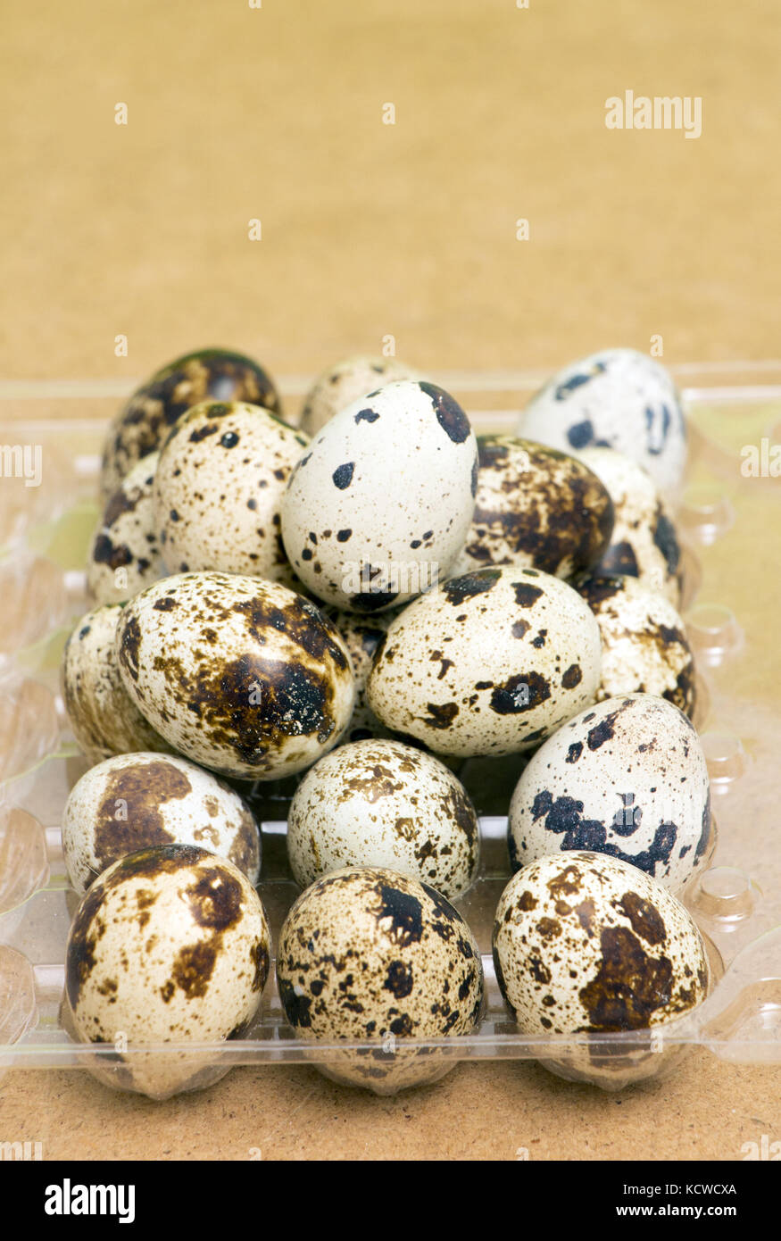 japanese quail eggs ,food and health concept Stock Photo Alamy