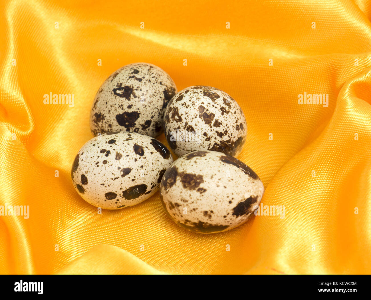 picture of a japanese quail eggs ,food and health Stock Photo Alamy