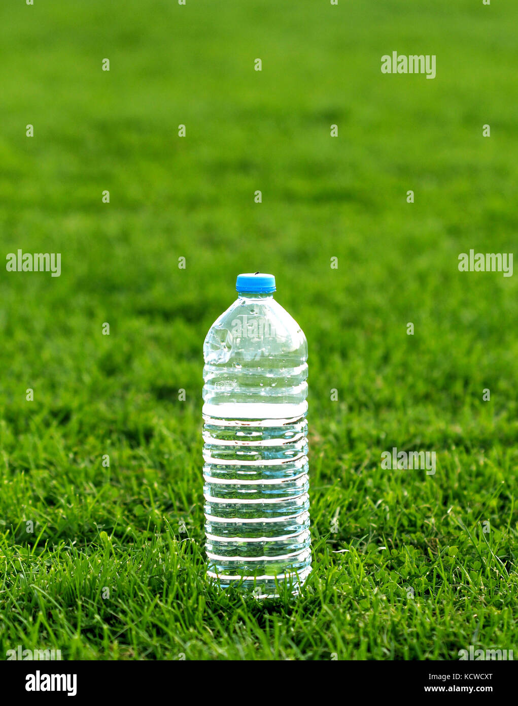 picture of a plastic water bottle on a green grass Stock Photo - Alamy