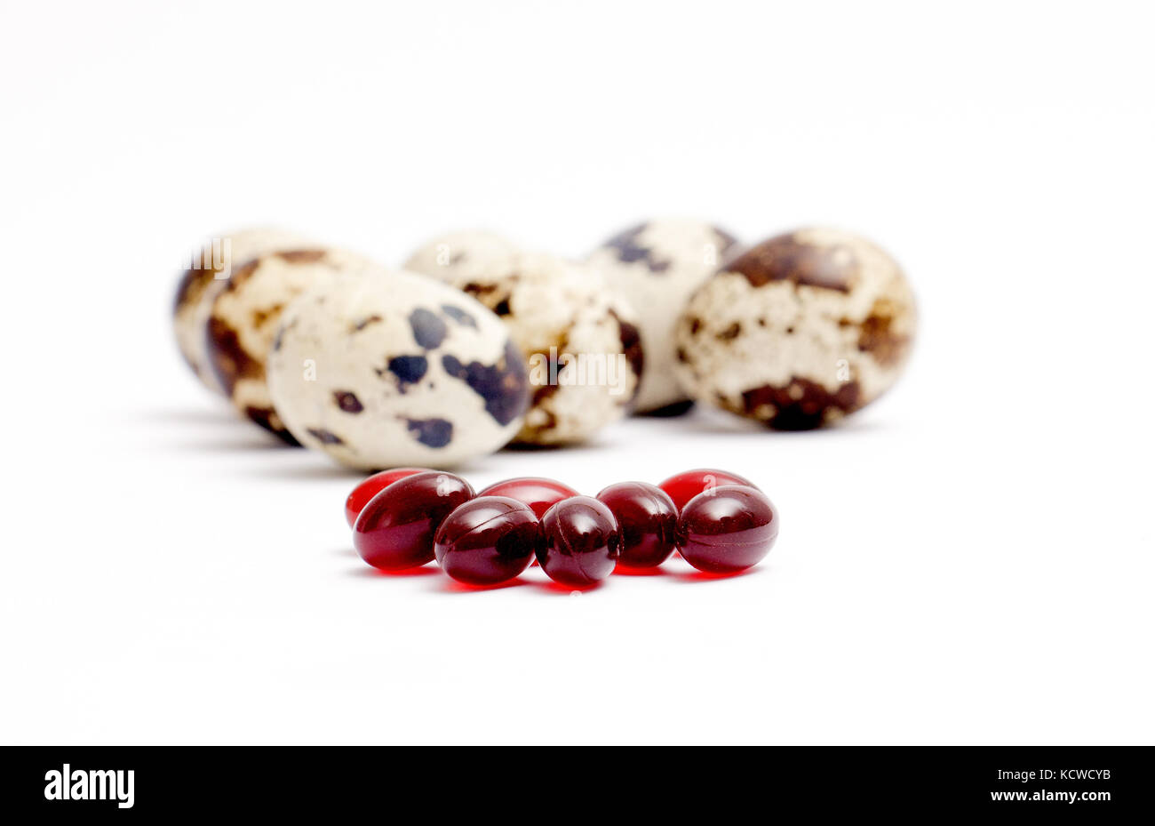 Japanese pheasant Cut Out Stock Images & Pictures Alamy