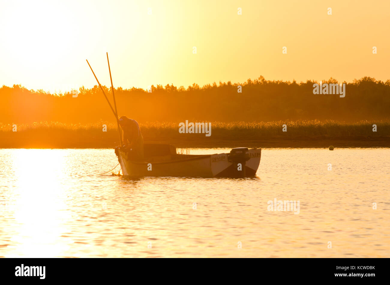fisherman, fish, oyster, seafood, sunrise, Enmore River, Prince Edward