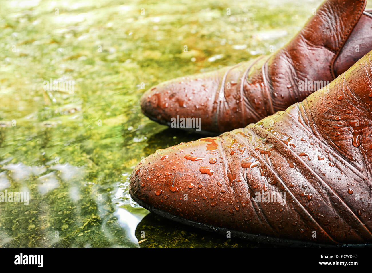 Brown Leather Shoes wet with water droplets on wet pavement rain foor