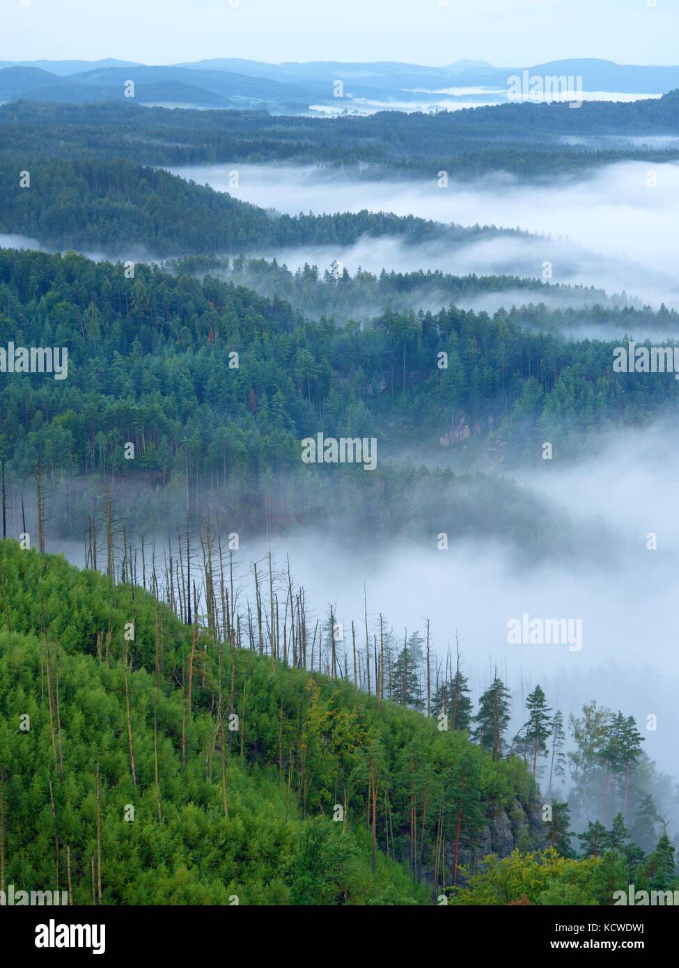Heavy Mist Magnificent heavy mist in landscape. Autumn creamy fog in countryside ...