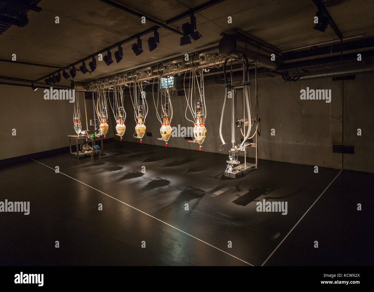 Cloaca Professional by Belgian artist Wim Delvoye at MONA, Hobart, Tasmania. The machine mimics the function of the human digestive system. Stock Photo