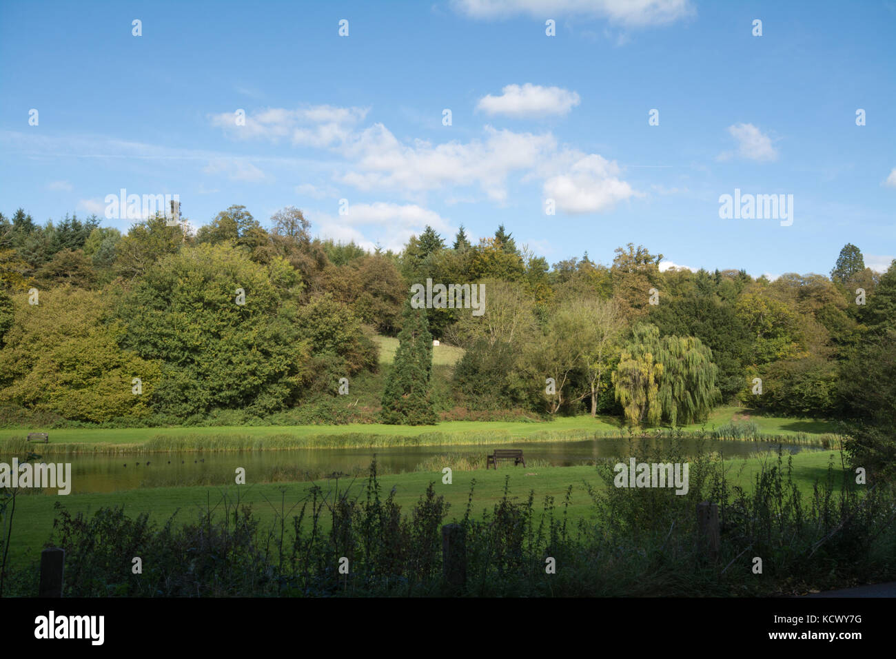 View of fishing lake (Weston) on the Albury Estate near Albury in the Surrey hills, Surrey, UK Stock Photo