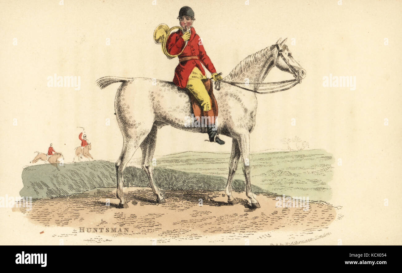 Huntsman in hunting pink (scarlet) jacket, breeches and boots holding a brass hunting horn. Handcoloured copperplate engraving from William Henry Pyne's The World in Miniature: England, Scotland and Ireland, Ackermann, 1827. Stock Photo