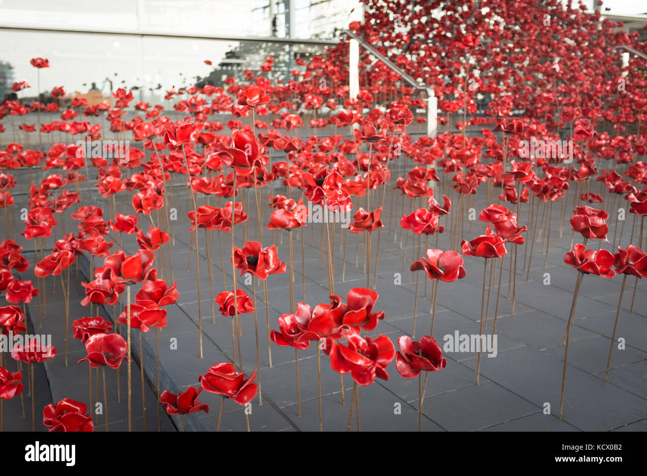 Weeping Window display at the Welsh National Assembly Stock Photo - Alamy