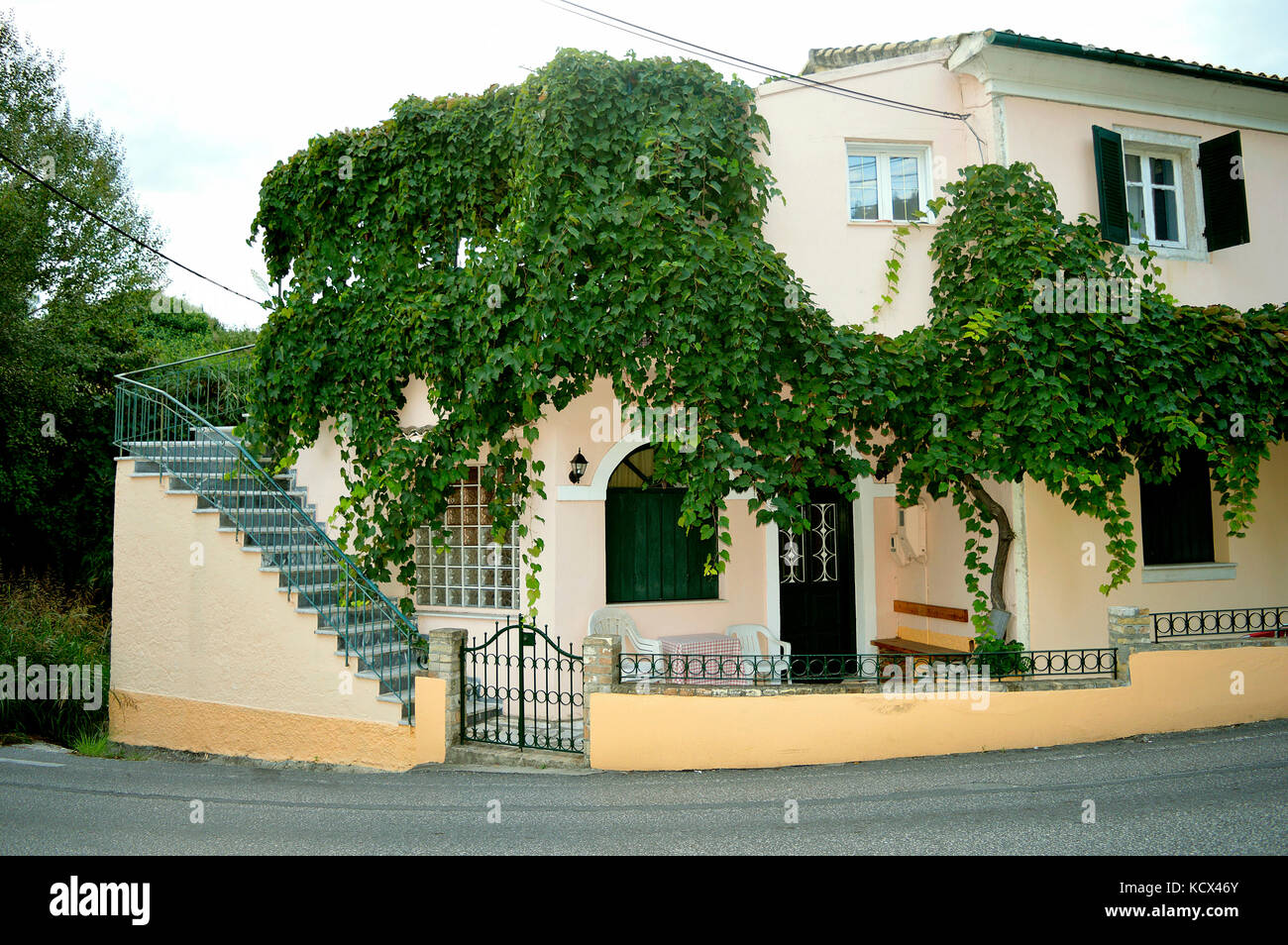 House with a grape vine growing on the walls in the town of Ipsos in