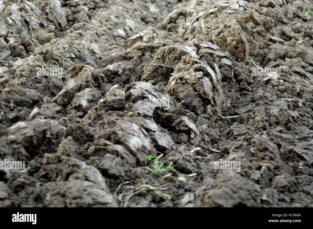 picture of a Plowed soil textured surface with grooves Stock Photo Alamy