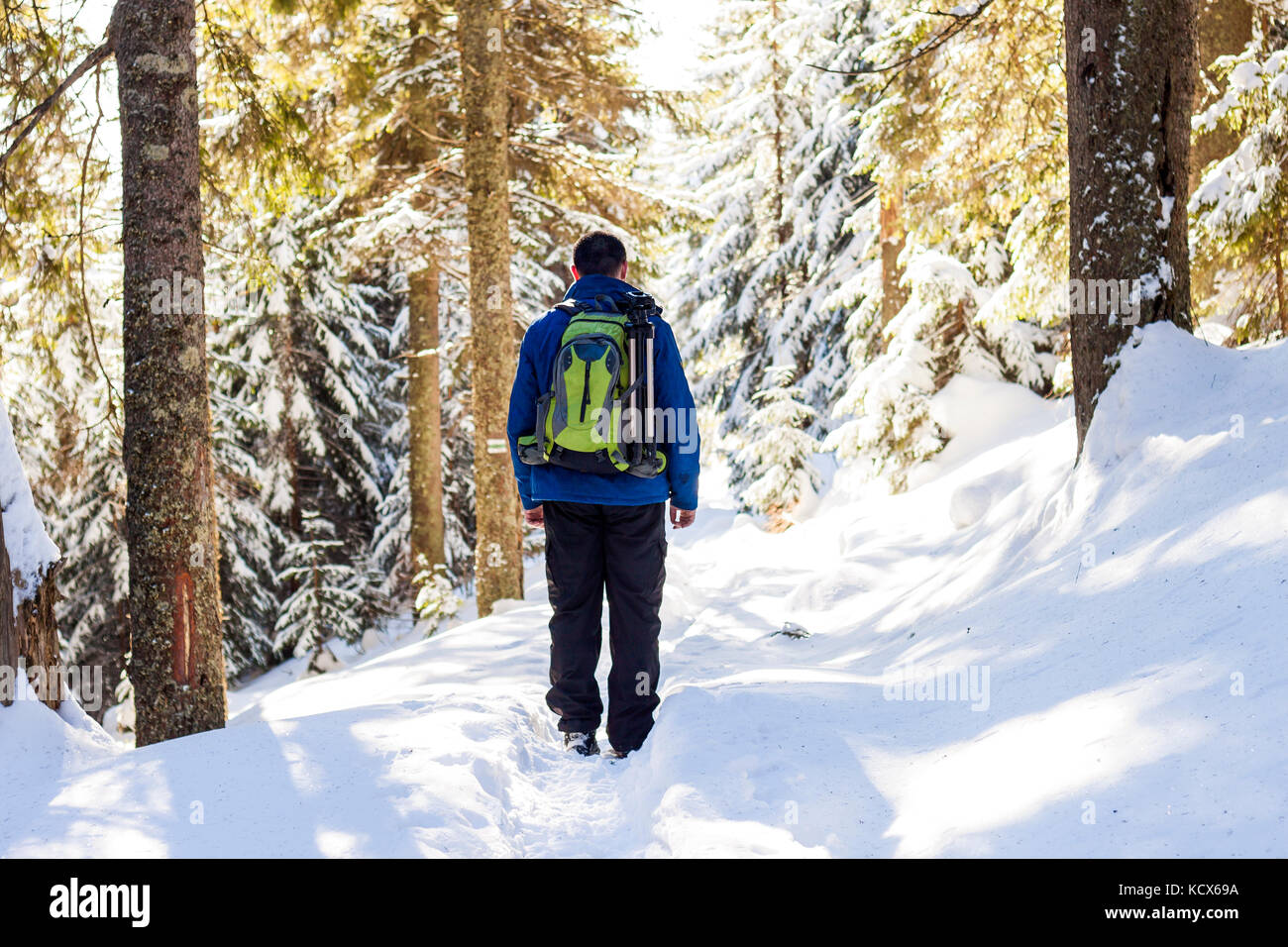 Young man with backpack hiking in winter forest Stock Photo - Alamy