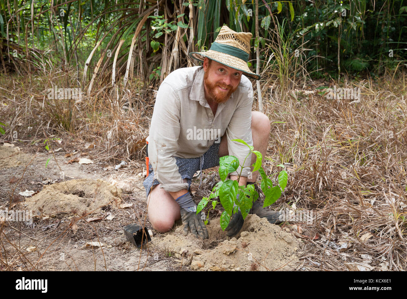 Rainforest revegetation. Rainforest Trust Australia & BeardsOn Tree