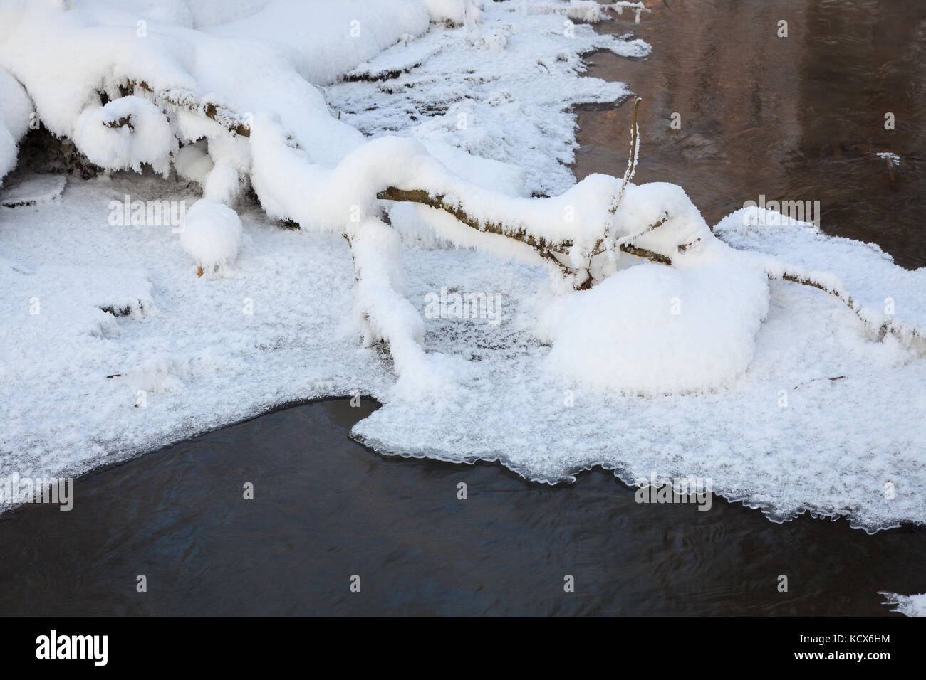 Small forest stream partially hi-res stock photography and images - Alamy