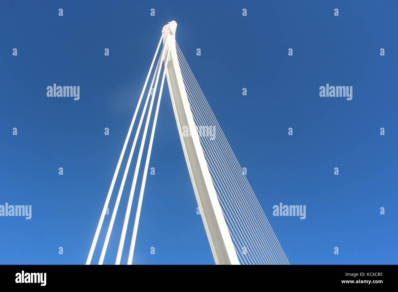 Ciudad de las Artes y las Ciencias. The Science Park in Valencia, Designed by Calatrava. Stock Photo