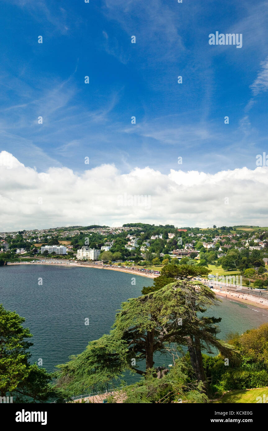 View over the top of pine trees looking into Tor Bay at Torquay, Torre Abbey Sands beach at high tide.  The Grand Hotel,. Blue sky, summer, copy space Stock Photo
