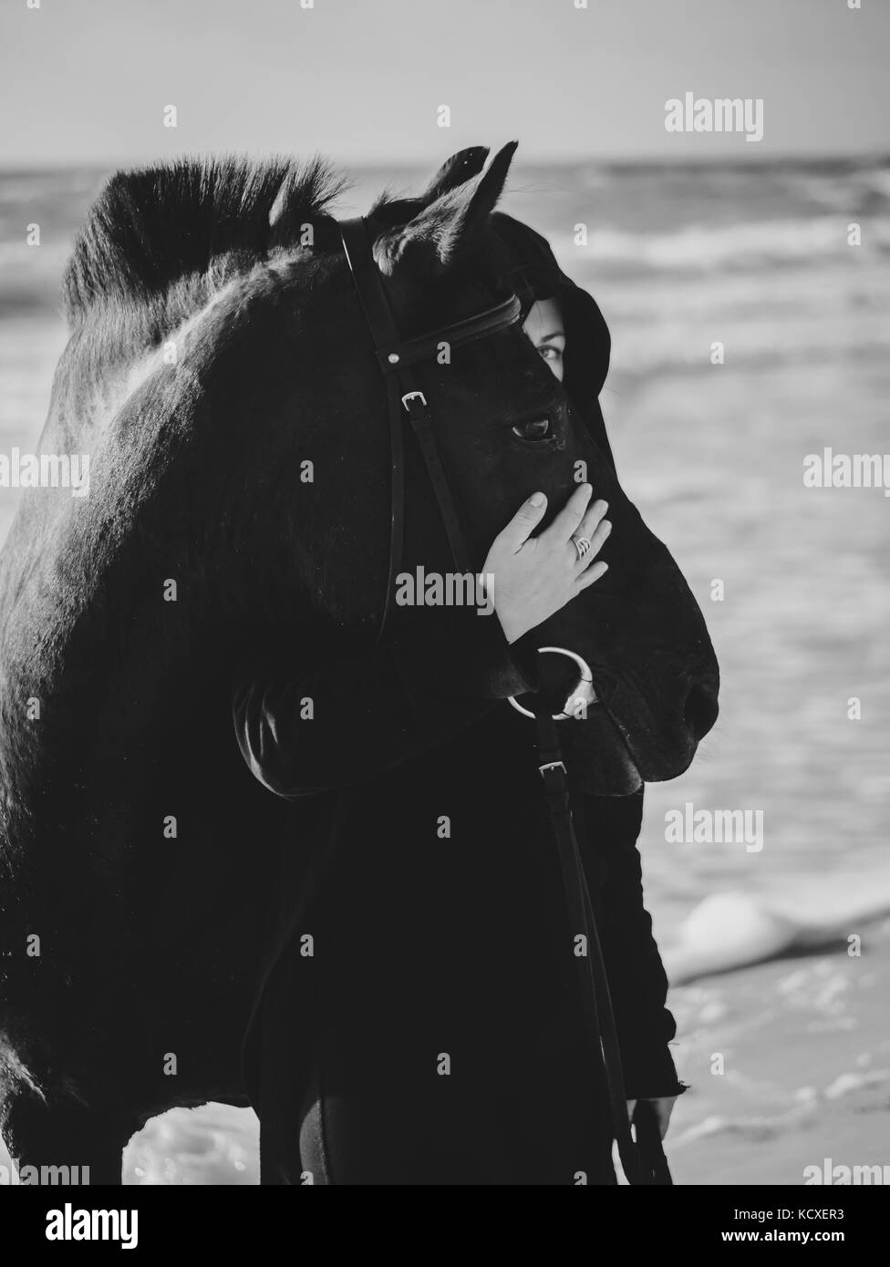 Young Blonde woman stroking and hugging horse. Beautiful lady with her black stallion on seashore enjoying nature. Love and friendship concept. Waves  Stock Photo