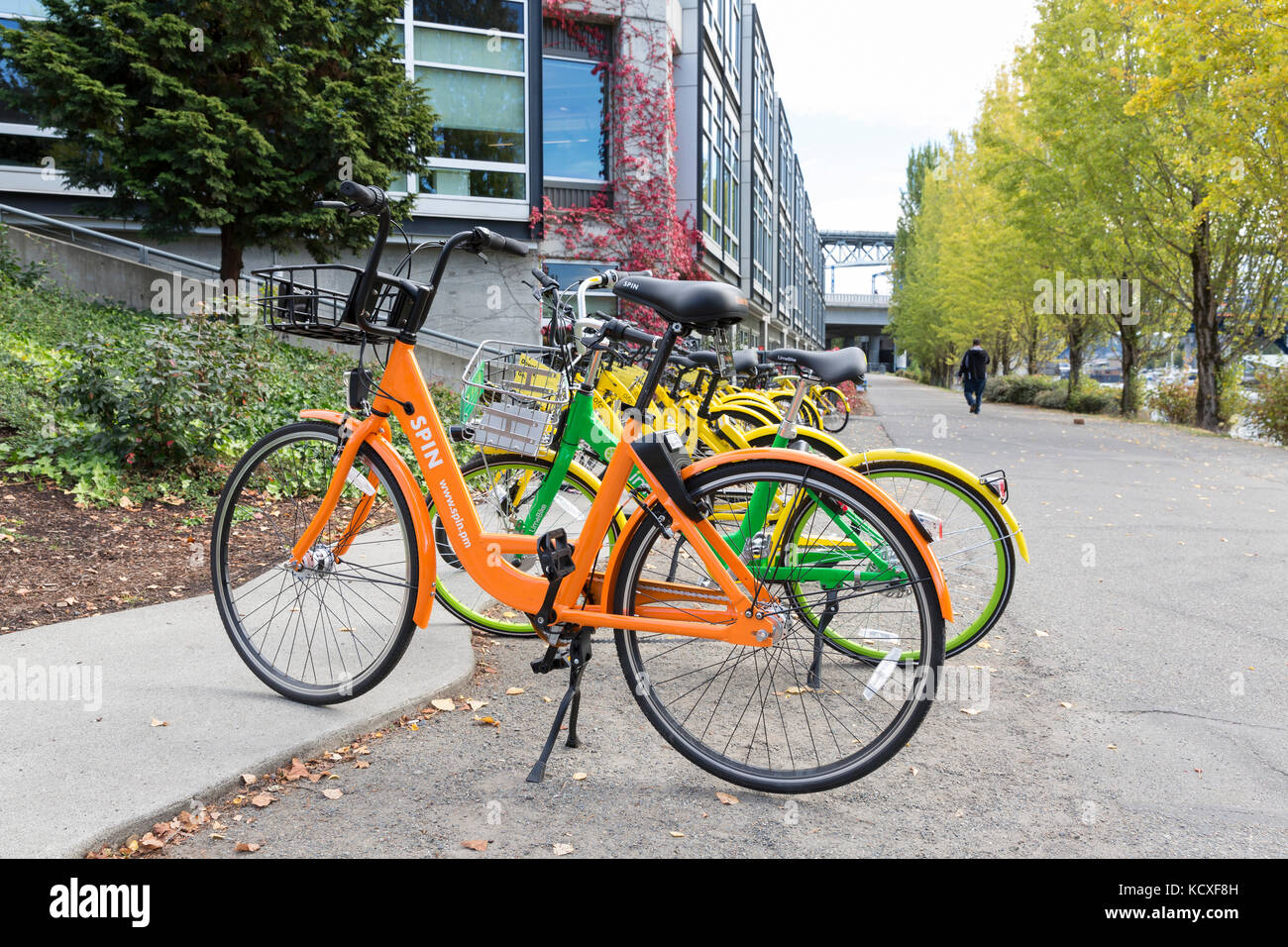 Seattle, Washington: A variety of cycle-share bikes parked at Google Seattle Waterside in Fremont.  LimeBike (green), Ofo bike (yellow) and Spin bike  Stock Photo