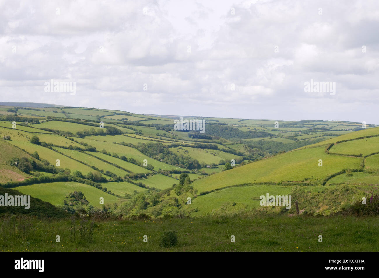 View of Exmoor National Park, Devon. UK Stock Photo