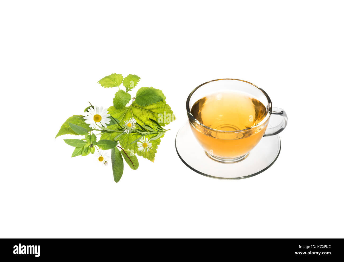 prepare an herbal tea with fresh herbs Stock Photo