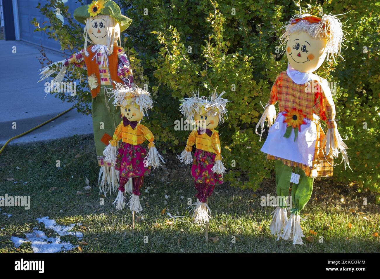 Welcoming Scarecrow Family Stuffed Figures Autumn Decoration on Residential Lawn in Alberta Canada Foothills Stock Photo