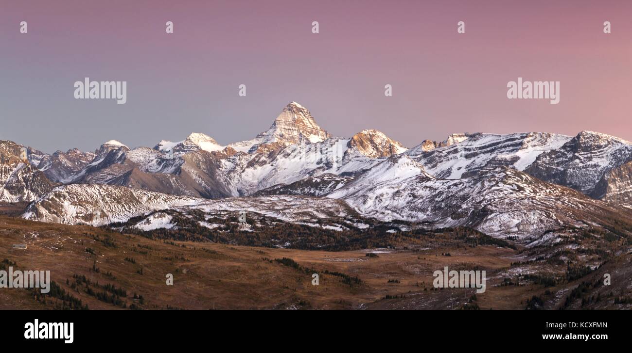 Autumn Sunset Landscape Scenic Panoramic Aerial View Alpine Meadow Distant Mount Assiniboine. Banff National Park, Rocky Mountains Alberta Canada Stock Photo