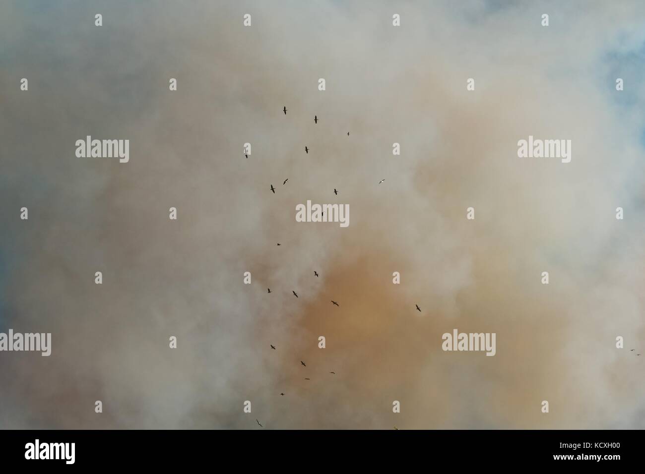 Escaping a fire hi-res stock photography and images - Alamy