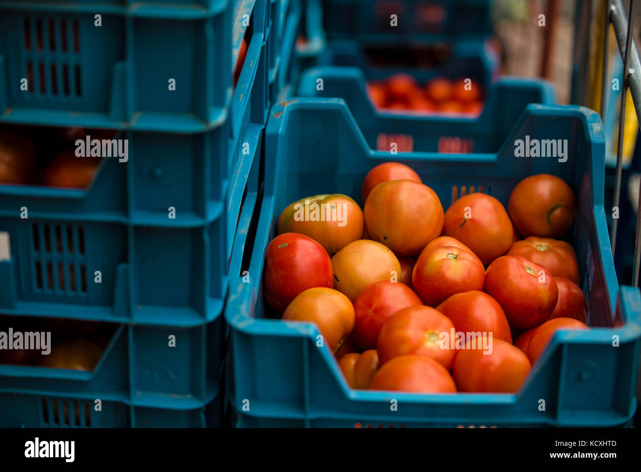 Crates with tomatoes on a market Stock Photo
