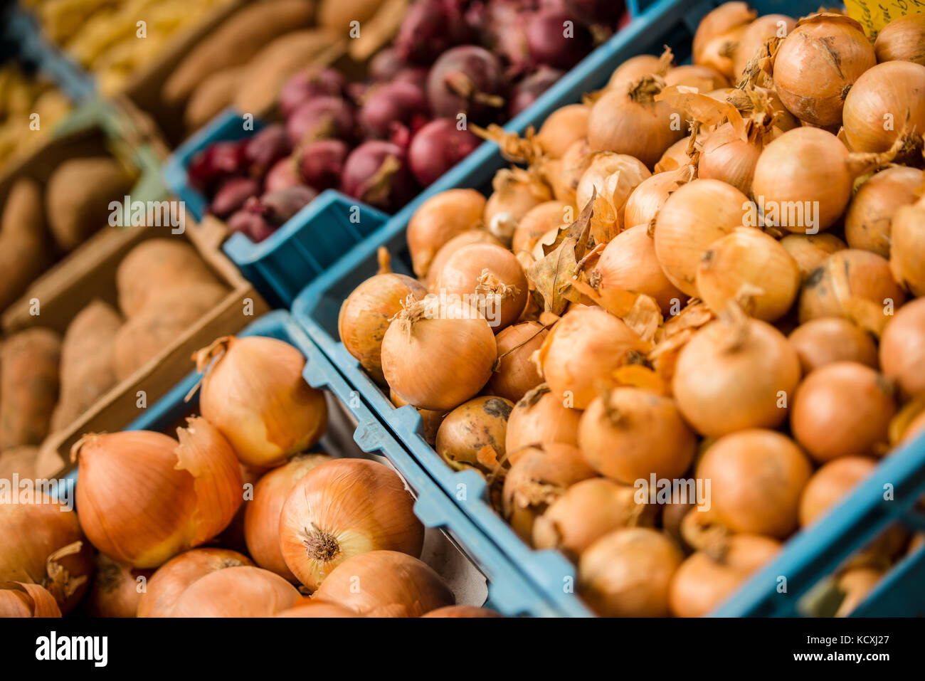 Variety of onions in crates on a market Stock Photo Alamy