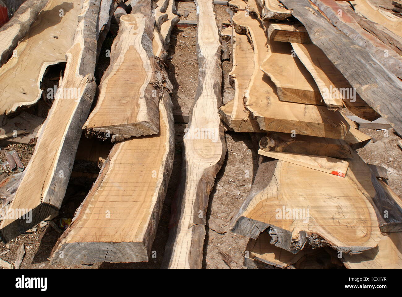 Eucalyptus wood planks stored ready to be used for boat building, Teboulba, Tunisia Stock Photo