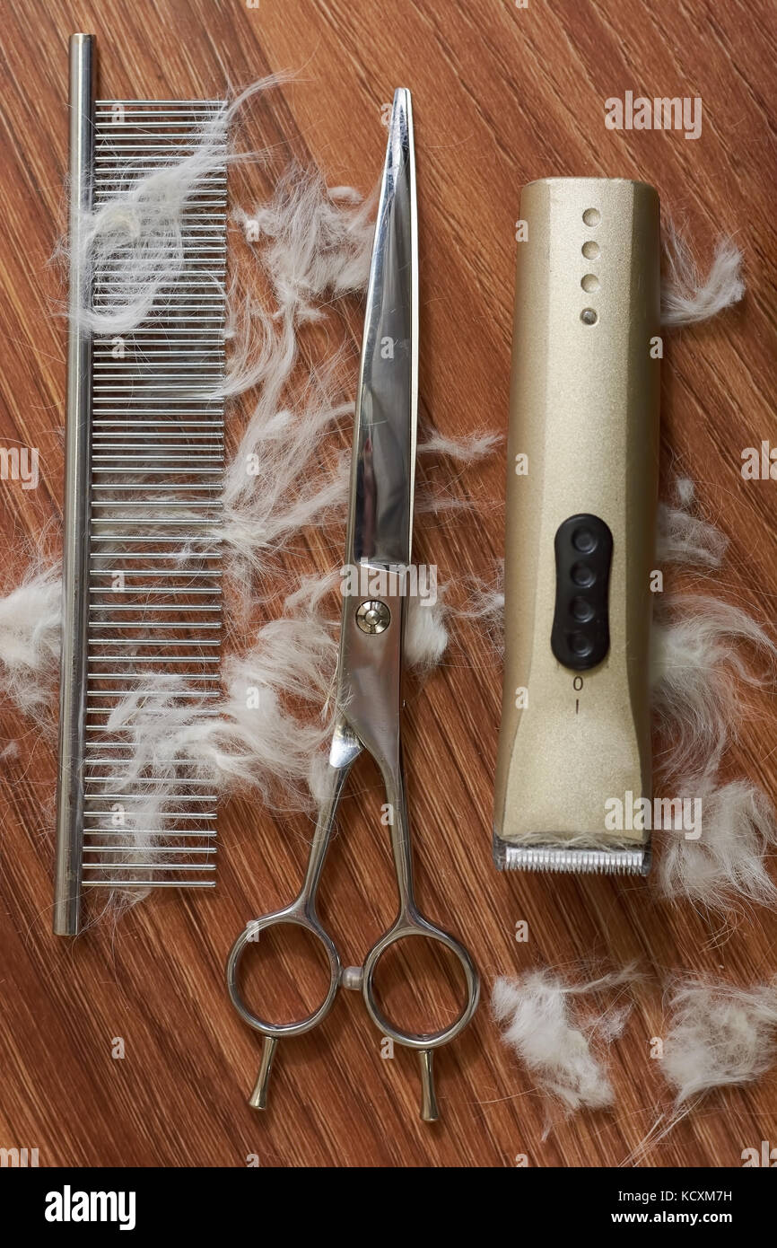 Pet grooming tools set. Comb, scissors and hair clipper. Introduction to pet styling Stock Photo