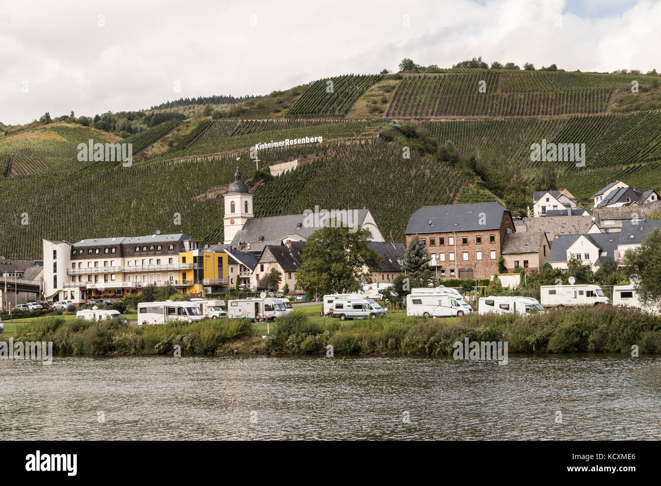 View of the vineyards of Kinheimer Rosenberg from a pleasure boat trip on the Mosel River, Germany Stock Photo