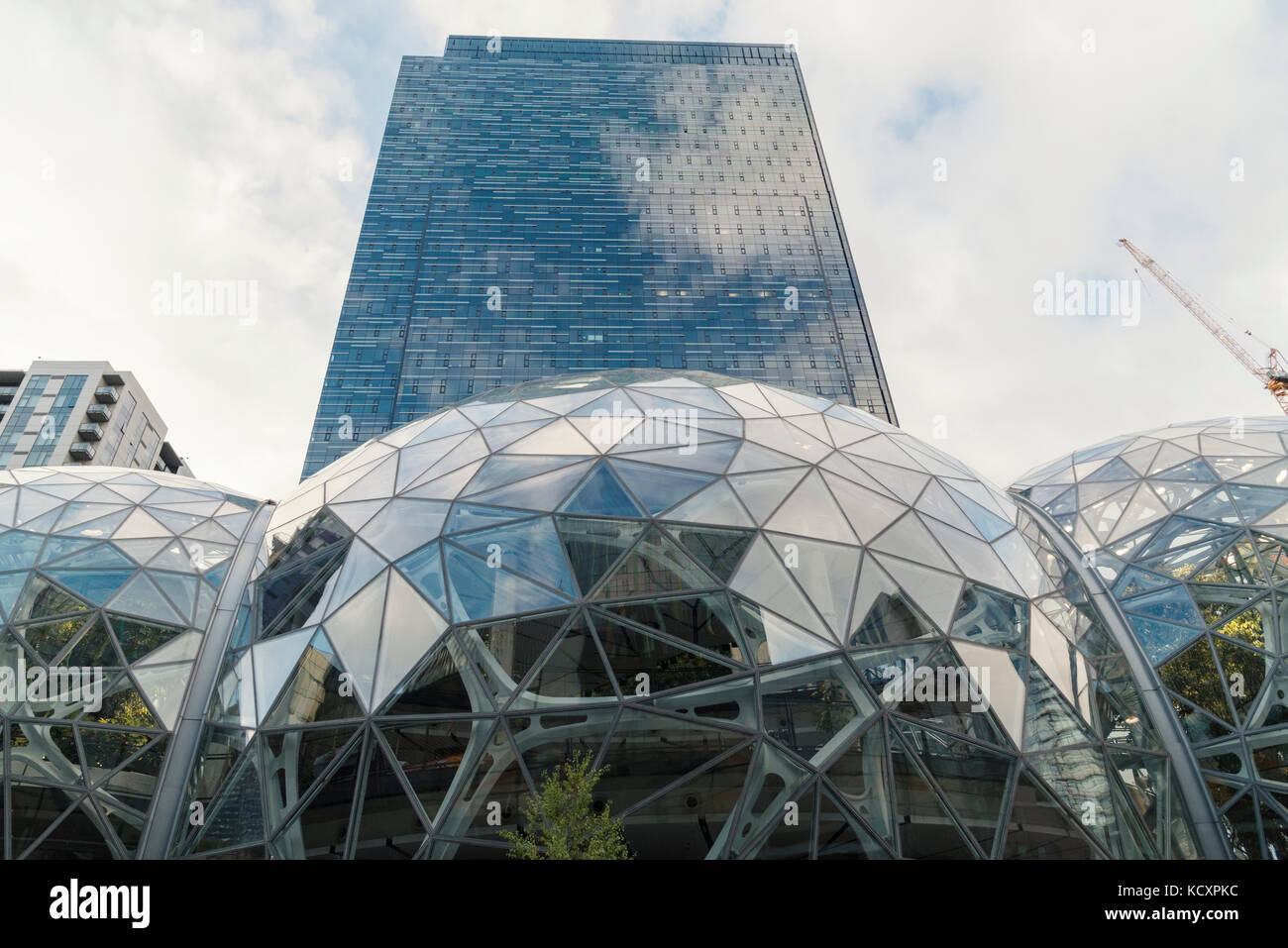 Looking up at the Amazon companies new world headquarters spheres and