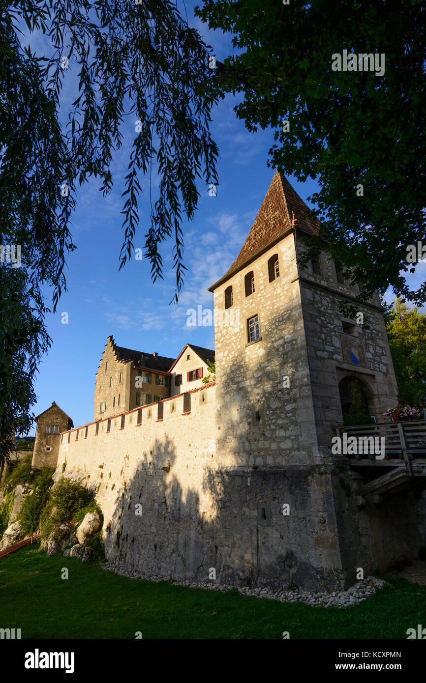 castle Schloss Laufen, Laufen-Uhwiesen, , Zürich, Switzerland Stock Photo
