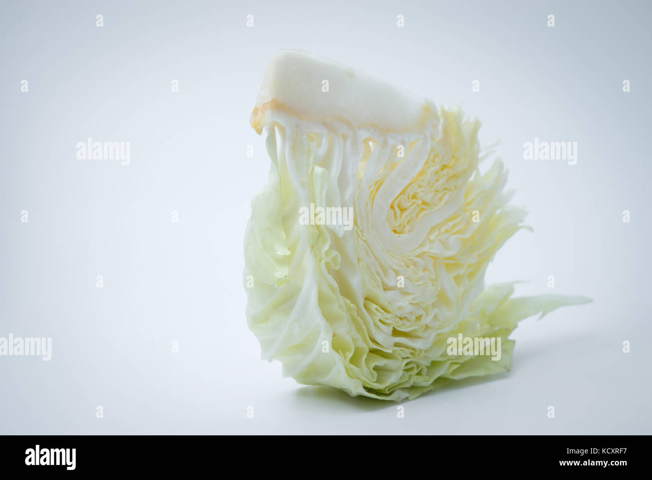 sliced cabbage on white background Stock Photo