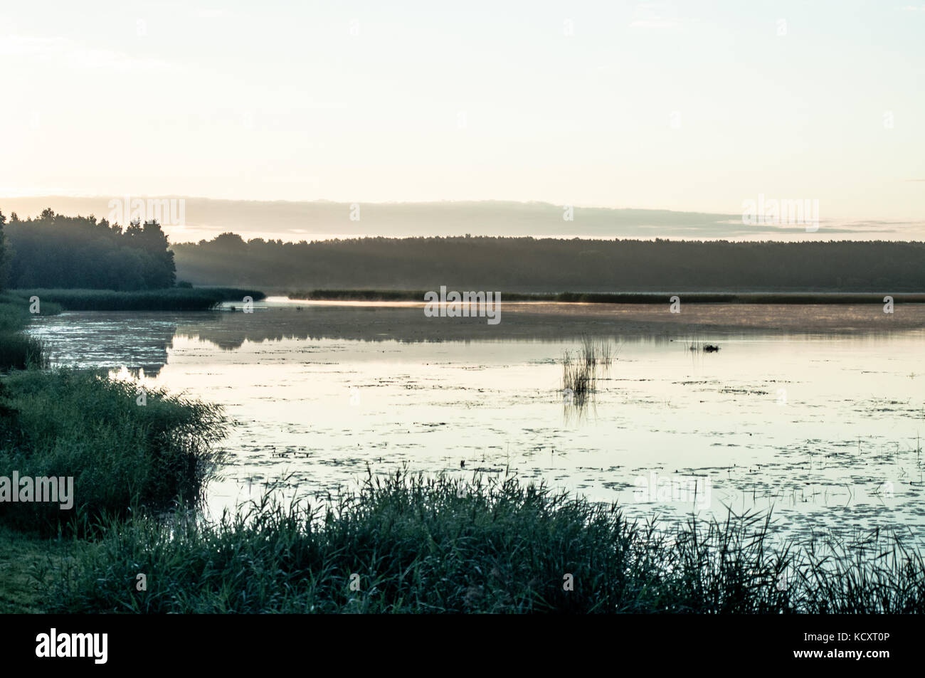 Beautiful morning on misty lake Stock Photo - Alamy
