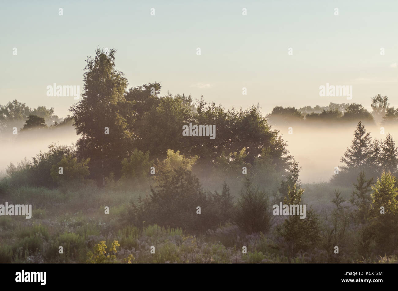 Beautiful morning scene. Latvian landscape with foggy fields. Stock Photo