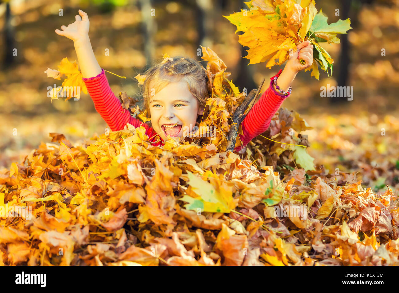 Happy little girl plays with autumn leaves Stock Photo - Alamy