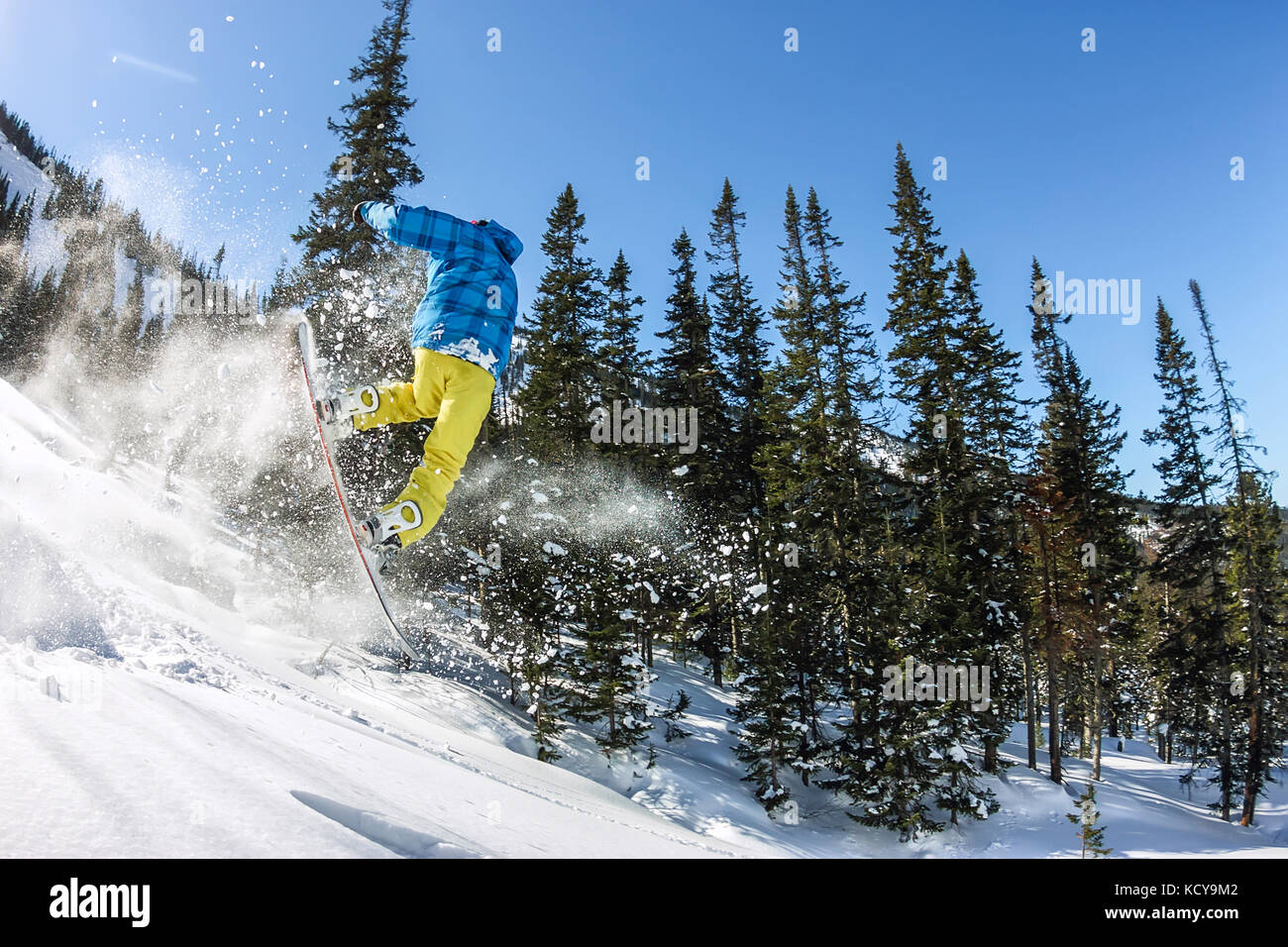 Snowboarder freerider jumping from a snow ramp in the sun on a background  of forest and mountains Stock Photo - Alamy