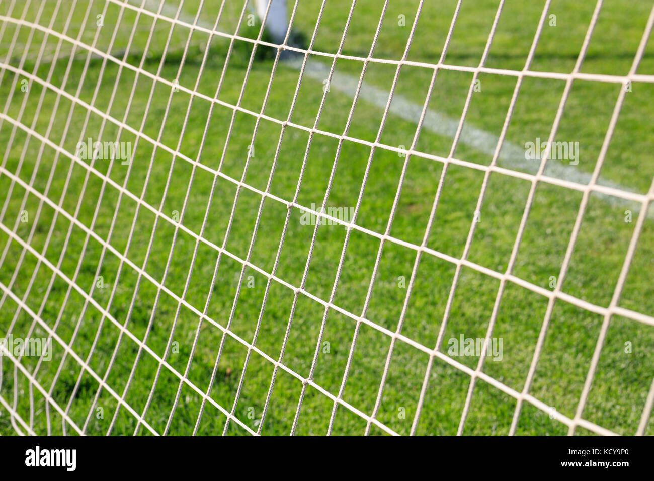 Football net on goal behind back view on field, White line on green