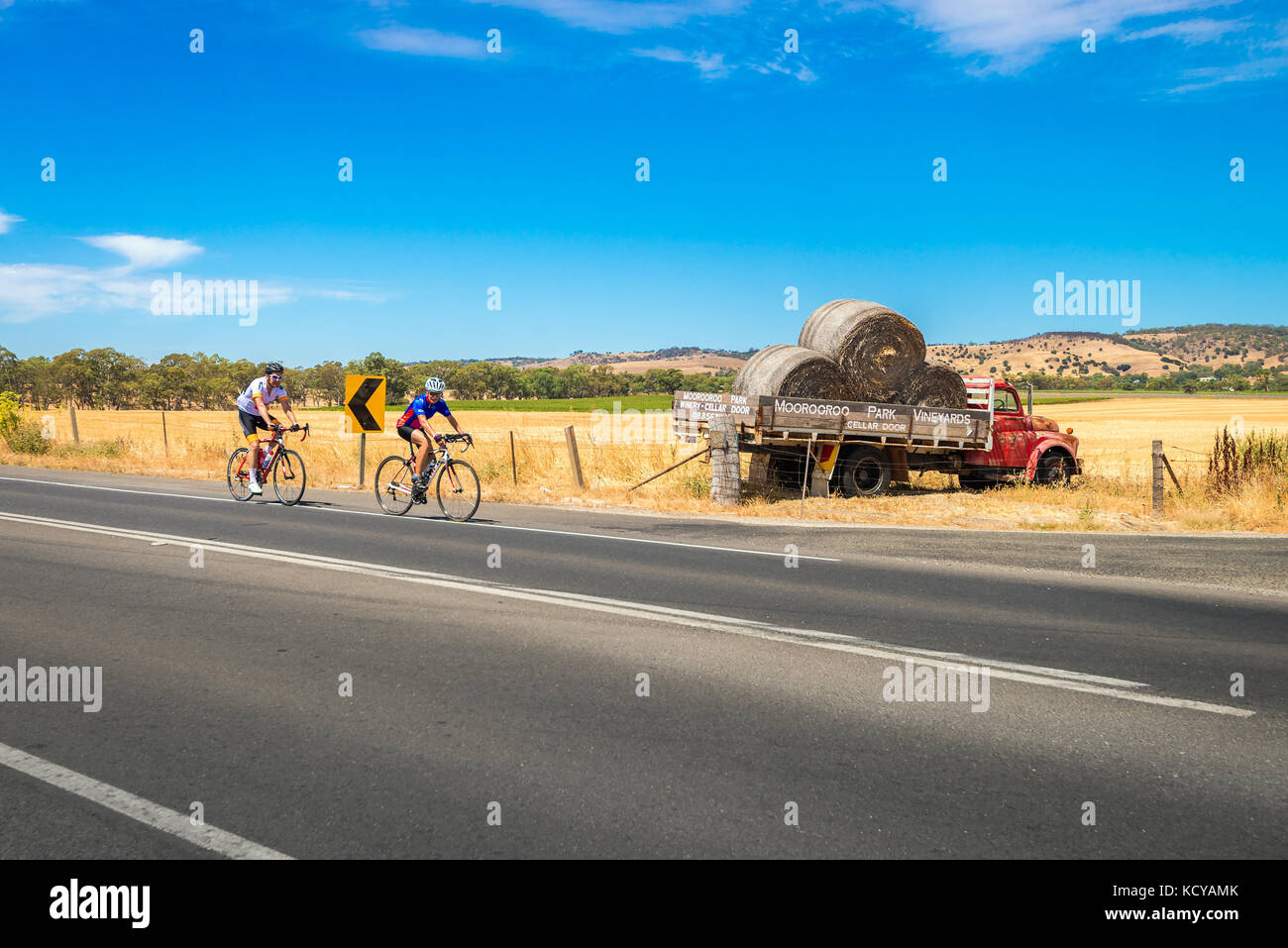 Tanunda, South Australia - January 16, 2016: Two men riding their bicycles along scenic road in Barossa valley near Moorooroo Park Vineyards Stock Photo