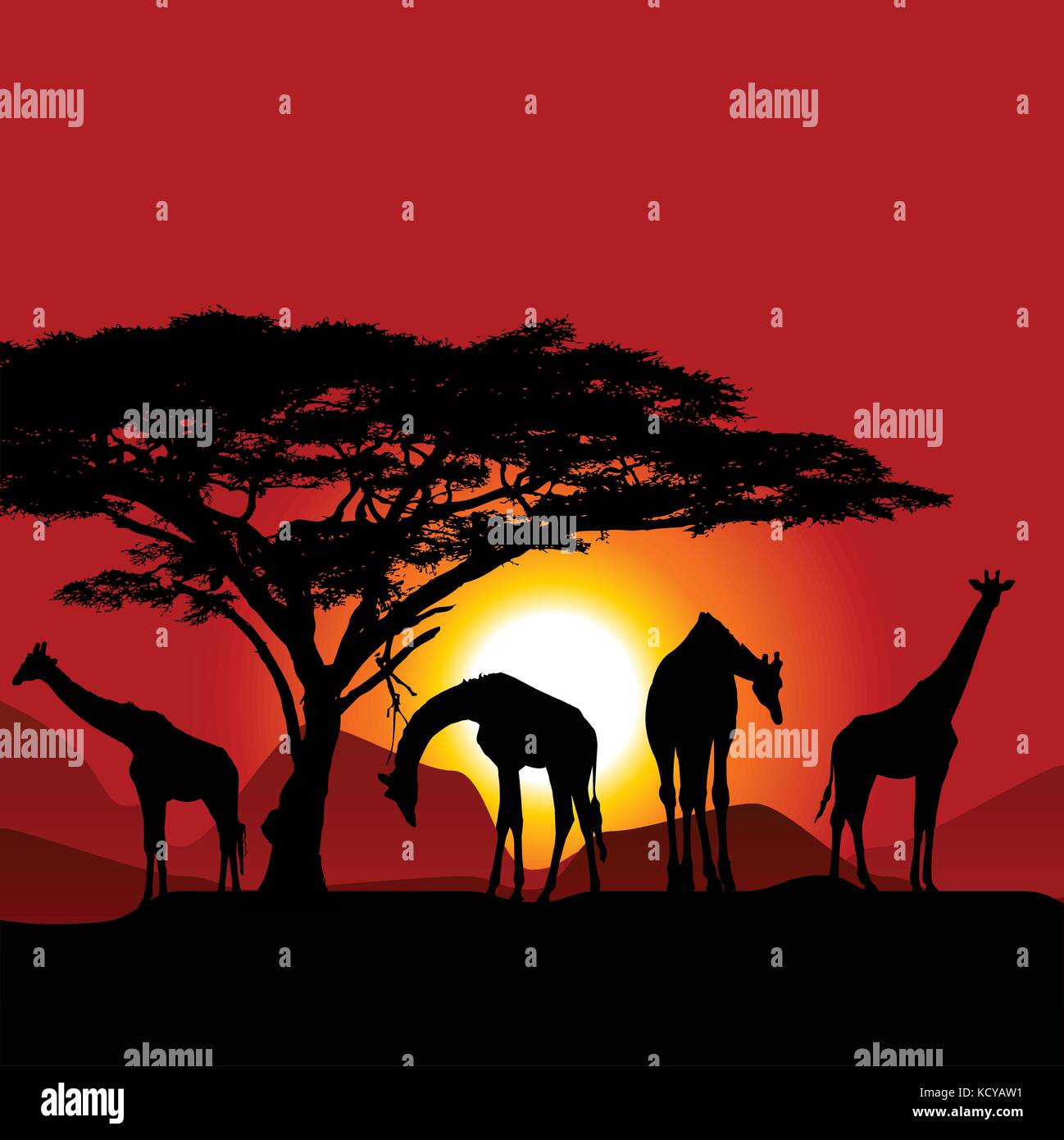Silhouettes of giraffes on African sunset - savanna Stock Vector Image ...