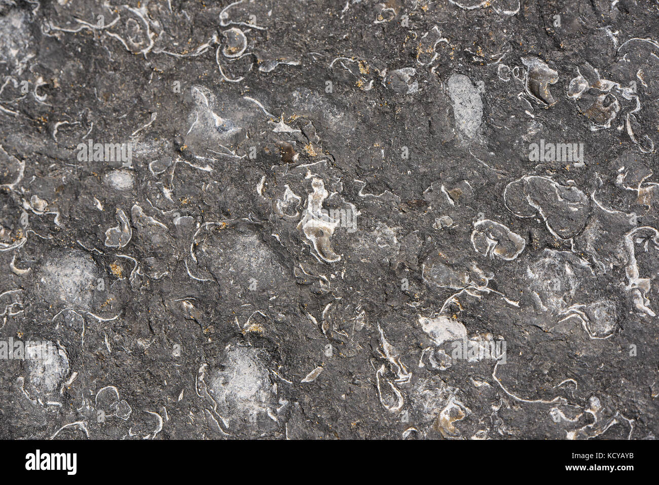 Textures on stone, UK Stock Photo - Alamy