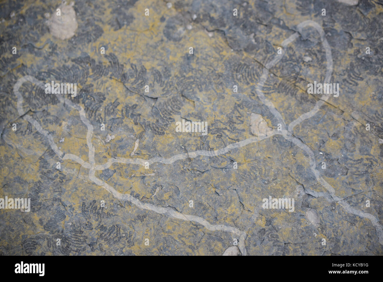 Textures on stone, UK Stock Photo - Alamy