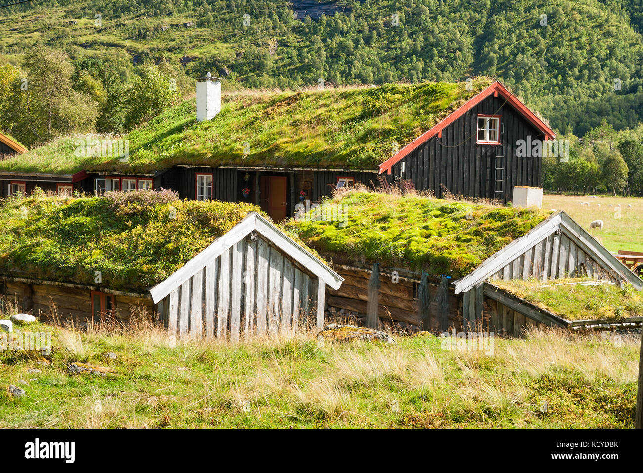 Traditional Norwegian house with grass roof, Innerdalen, Norway Stock
