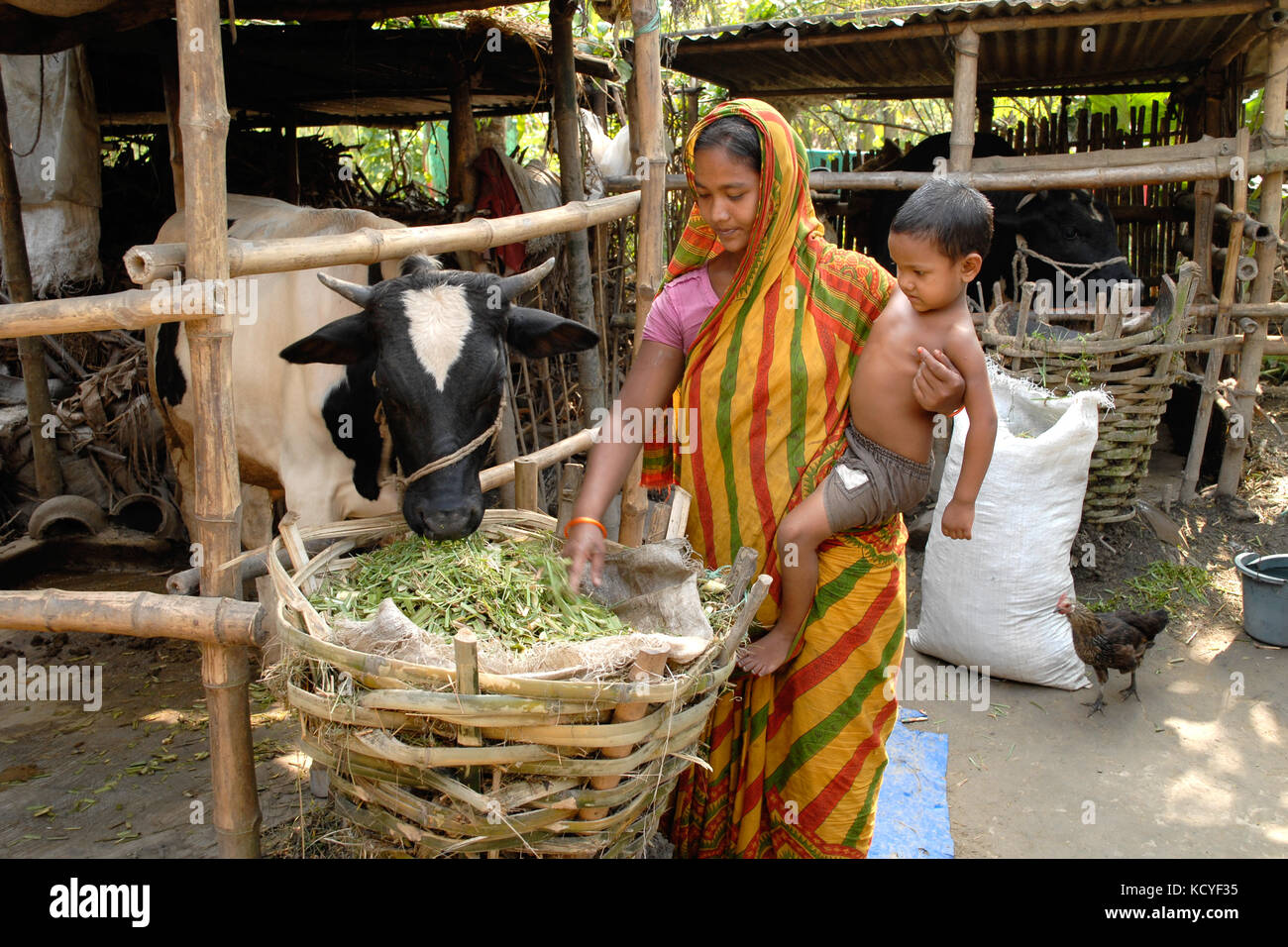 Agricultural livelihood hires stock photography and images Alamy