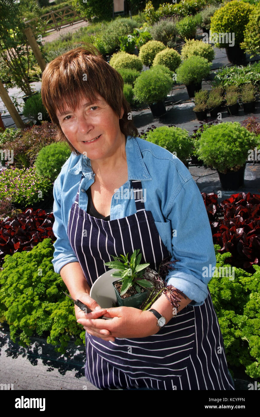 Jekka McVicar of Jekka's Herb Farm Stock Photo Alamy