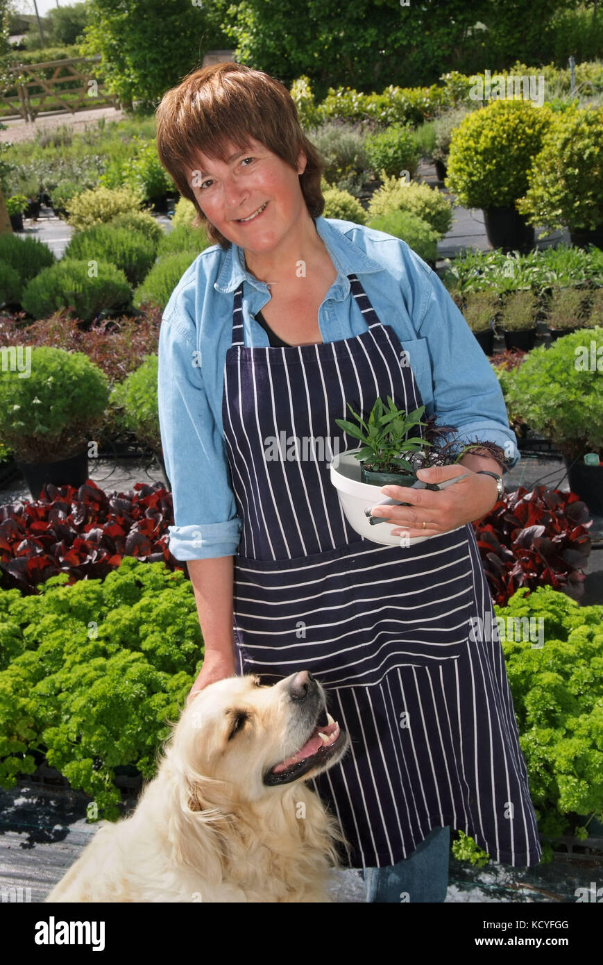 Jekka’s herb farm hires stock photography and images Alamy